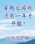 穿越后游戏还有一年才开服？
