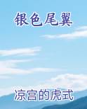 银色尾翼